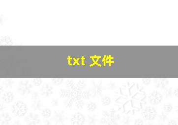 txt 文件